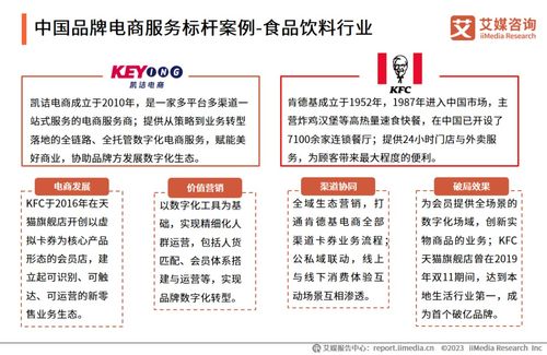 2023年中国品牌电商服务行业深度解析 艾媒咨询研究报告揭示市场趋势与机遇